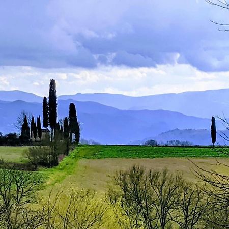 Tuscan Hills Near Florence - Stone House Vicchio Εξωτερικό φωτογραφία