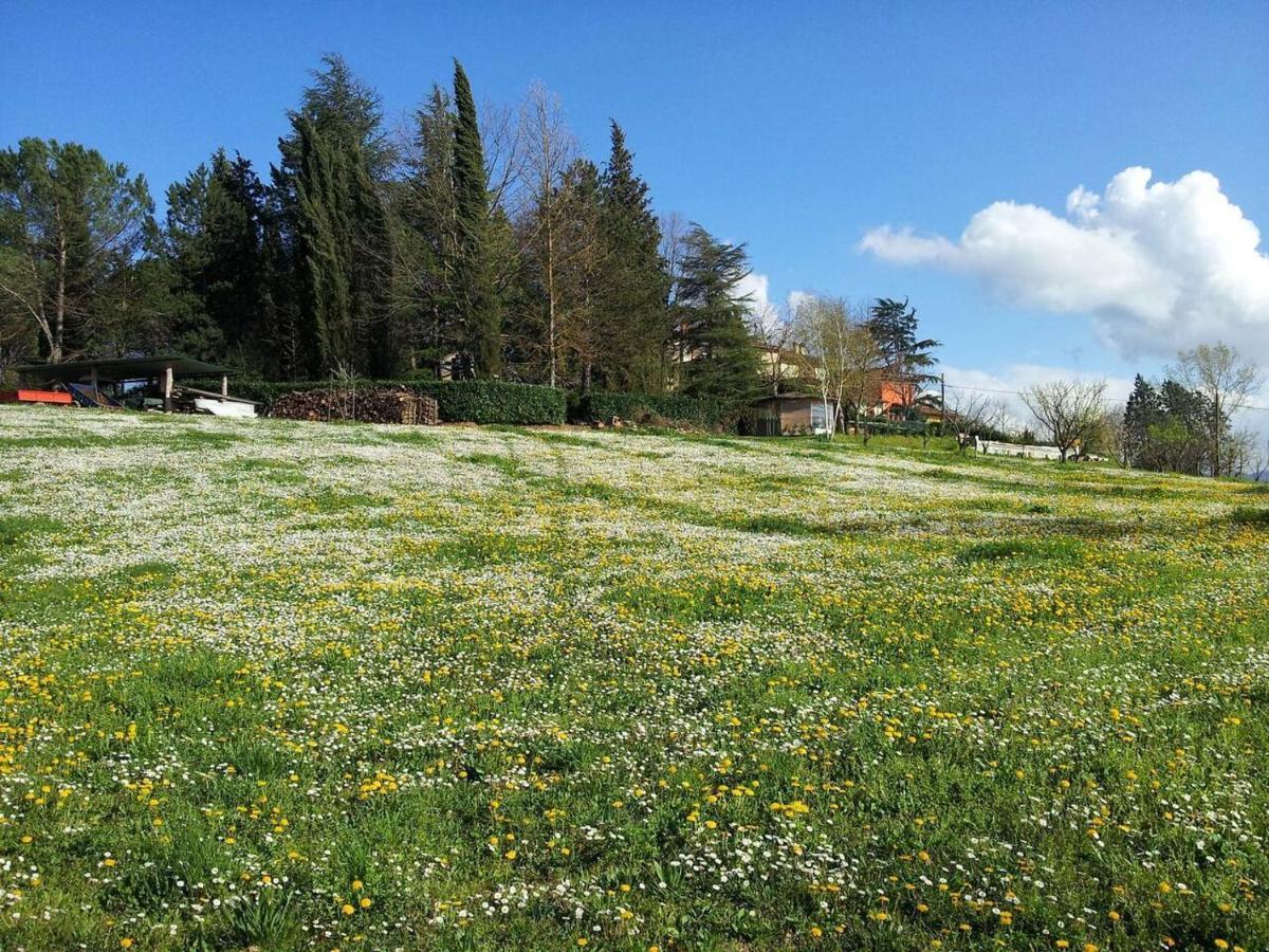 Tuscan Hills Near Florence - Stone House Vicchio Εξωτερικό φωτογραφία