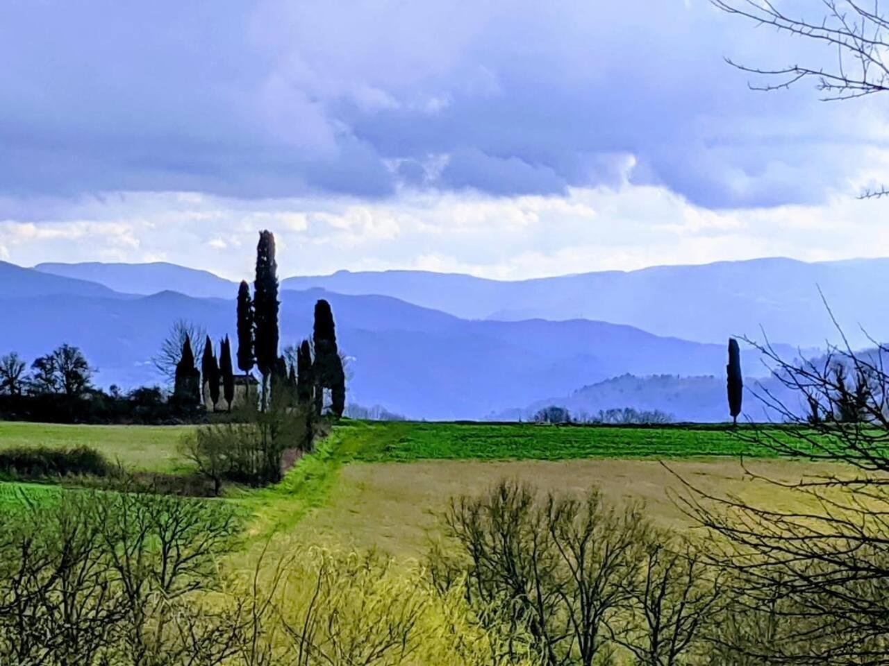 Tuscan Hills Near Florence - Stone House Vicchio Εξωτερικό φωτογραφία